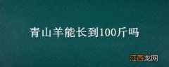 青山羊能长到100斤吗 青山羊能长到100斤吗图片