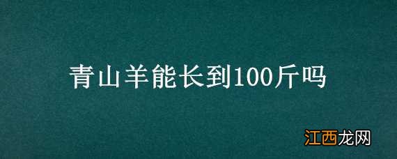 青山羊能长到100斤吗 青山羊能长到100斤吗图片