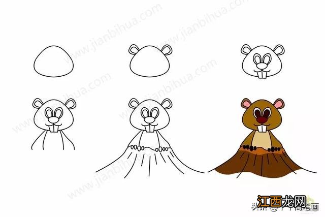 土拨鼠简笔画可爱 土拨鼠简笔画