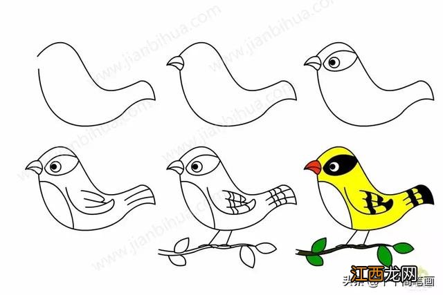 土拨鼠简笔画可爱 土拨鼠简笔画