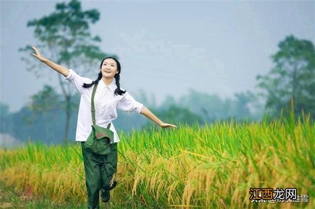 杏帘在望是几年级的课文 杏帘在望