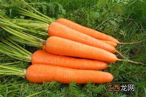 绿色蔬菜有哪些? 绿色蔬菜有哪些品种