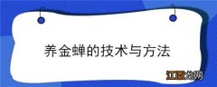 养金蝉的技术与方法图片 养金蝉的技术与方法