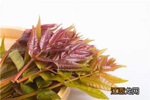 香椿最贵卖到200元一公斤！香椿价格为什么这么贵？主要有这四个