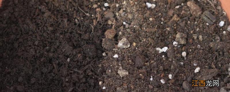 自制磷钾肥的方法，磷钾肥有哪些 怎么自制磷钾肥液肥料