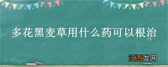 多花黑麦草用啥药治 多花黑麦草用什么药可以根治