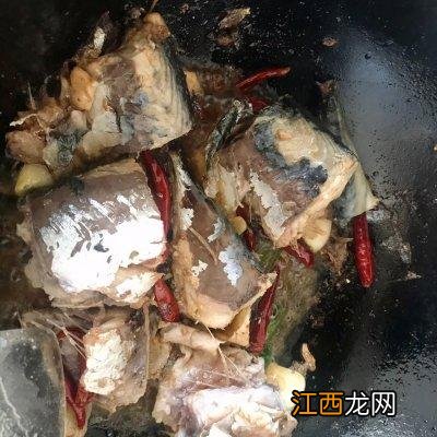 红烧鲅鱼的做法大全 红烧鲅鱼的做法