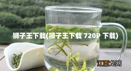 狮子王下载 720P 下载 狮子王下载