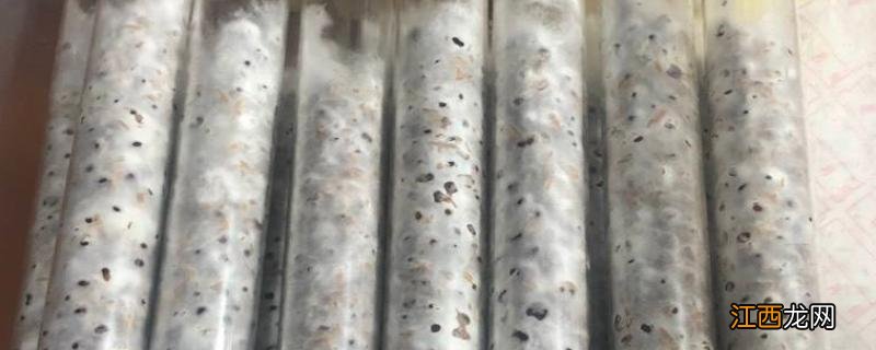 自己在家培养的菌种,培养菌种的环境条件