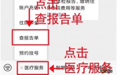 2022年聊城东阿县妇幼保健院核酸检测报告查询方式