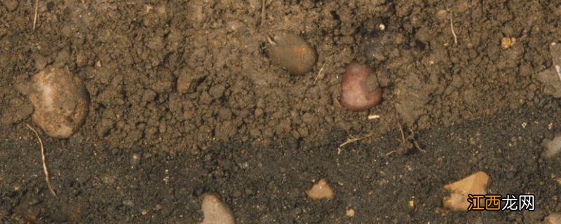 松土肥料有哪些，疏松土壤用什么肥料