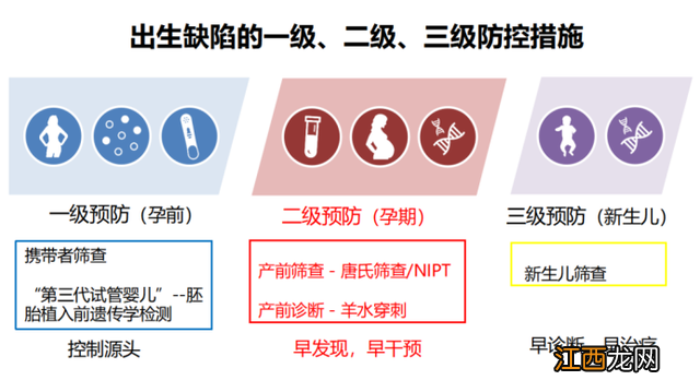 无创dna检查结果几天出来 无创dna检查