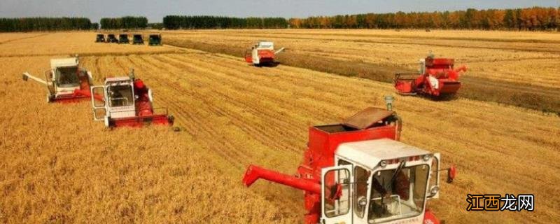 农业生产上的互相合作形式大体上有,互相合作发展的原则是