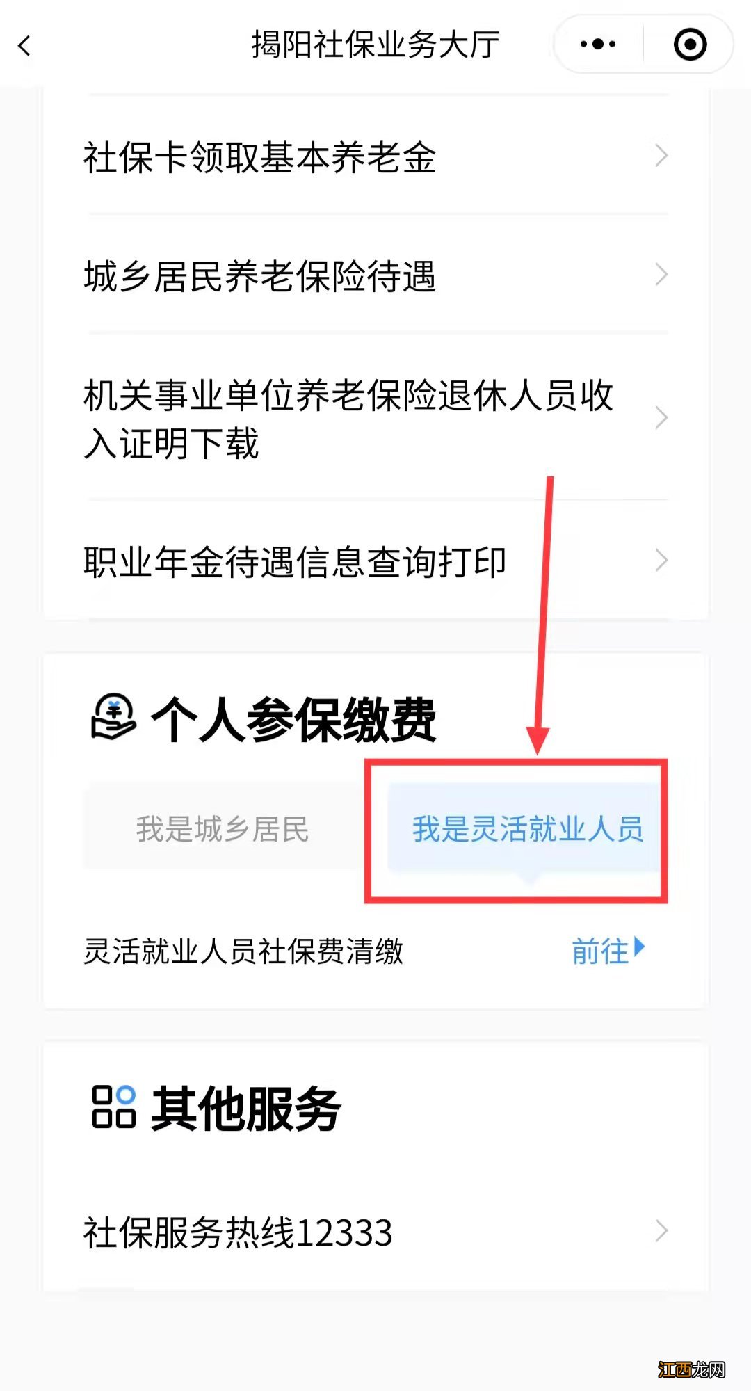 在哪里可以查询揭阳市灵活就业人员的个人参保信息？