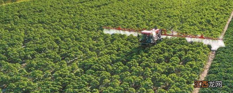 现代农业的目标包括，现代农业的特点