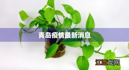 青岛疫情最新消息通知 青岛疫情最新消息