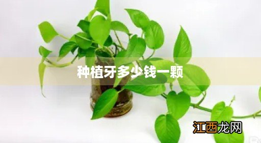 种植牙多少钱一颗2022价格表芜湖市 种植牙多少钱一颗