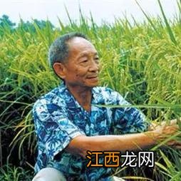 我的心愿500字优秀作文当一名老师 我的心愿500字优秀作文