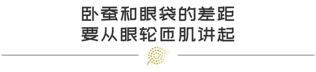 消除眼袋的小方法有哪些 消除眼袋的小方法