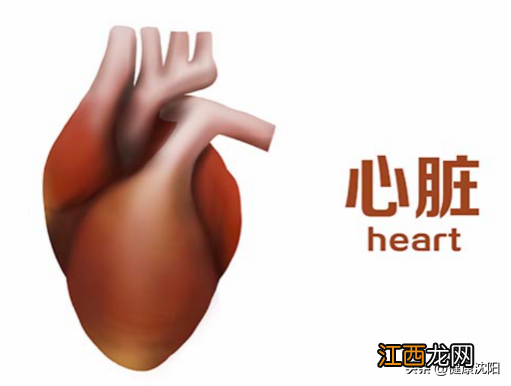 bnp心衰分级标准5级 心功能分级标准5级