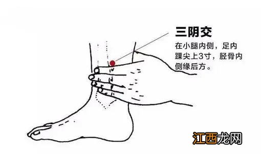 找足三里最笨的方法图片 穴位三阴交