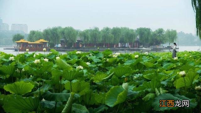 雨中美景看图写话一年级 雨中美景