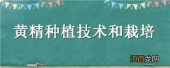 黄精种植技术和栽培技术 黄精种植技术和栽培