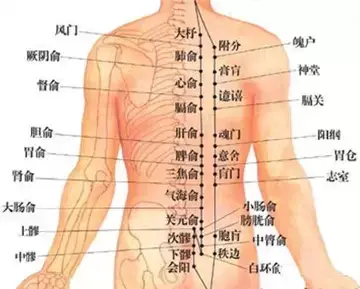 背部拔罐位置图 拔罐位置图