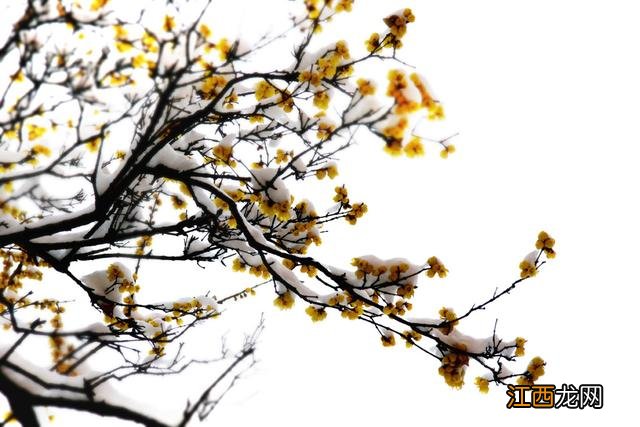 带小的字大多与什么有关 带小的字