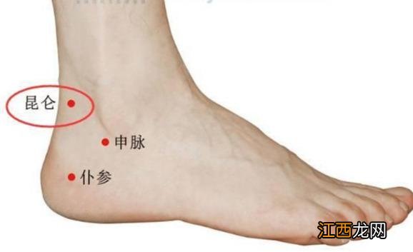 脚底的各个部位详细图 脚底的穴位
