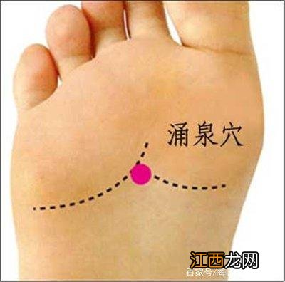 脚底的各个部位详细图 脚底的穴位