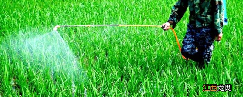 敌稗可以和哪些除草剂混用,敌稗的使用方法