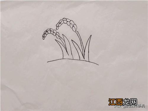 稻子简笔画彩色 稻子简笔画