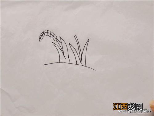 稻子简笔画彩色 稻子简笔画