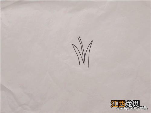 稻子简笔画彩色 稻子简笔画