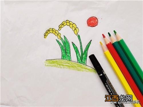 稻子简笔画彩色 稻子简笔画