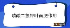 磷酸二氢钾叶面肥作用绿化 磷酸二氢钾叶面肥作用