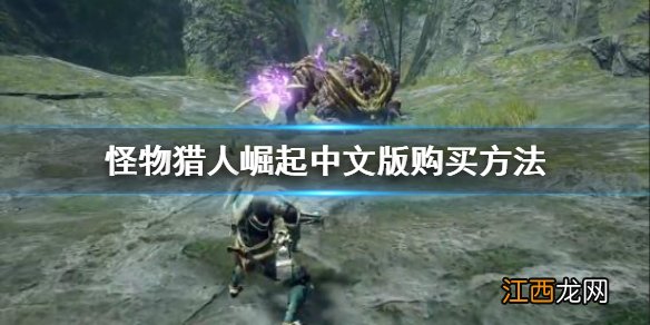 怪物猎人崛起怎么输入中文 怪物猎人崛起中文在哪买