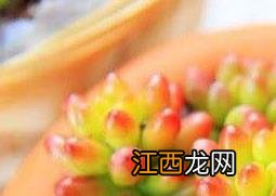 火祭怎么养殖 火祭怎么养殖最好