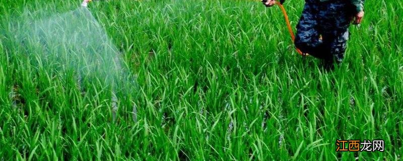 甲拌磷的作用与用途，对人体有伤害吗