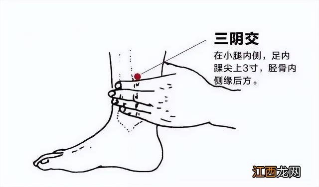 艾灸各个部位图解视频 艾灸各个部位图解