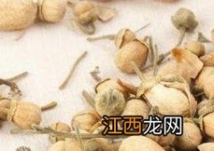 玳玳花的功效与作用有哪些 玳玳花的功效与作用及禁忌