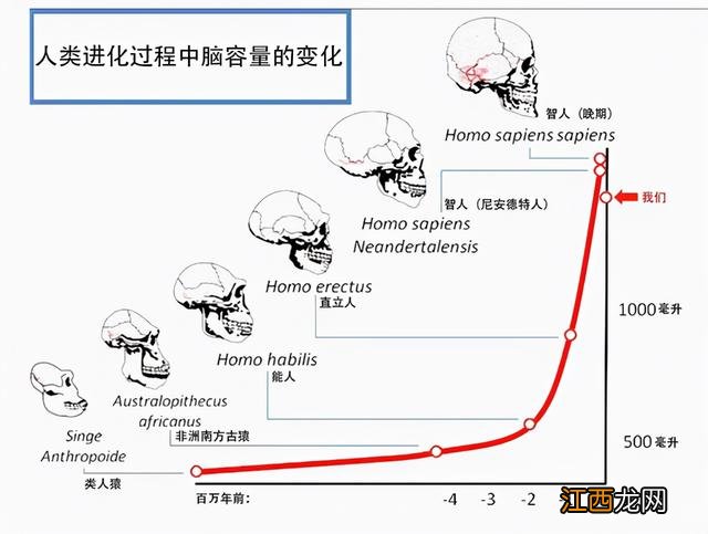 女人生孩子有多疼视频 女人生孩子有多疼