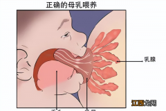 6个月宝宝身高体重标准是多少公斤呢 6个月宝宝身高体重标准