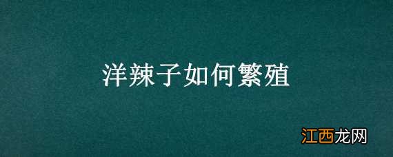 洋辣子如何繁殖 洋辣子养殖技术