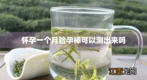 怀孕一个月验孕棒可以测出来吗准吗 怀孕一个月验孕棒可以测出来吗