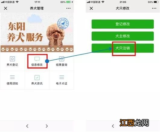 金华养犬码申领入口在哪个公众号平台 金华市养犬登记网上办理入口