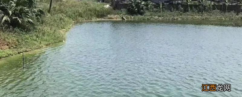 鱼用敌百杀虫剂使用量,敌百杀虫剂的药效有多长