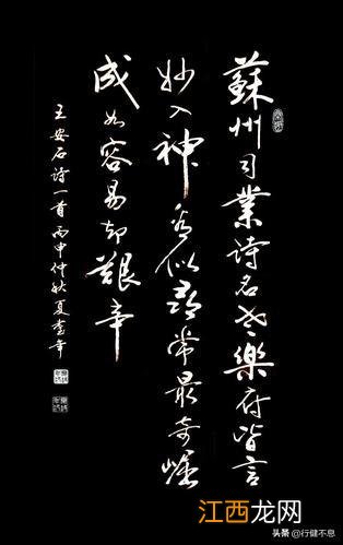 古诗赠外孙王安石 赠外孙王安石