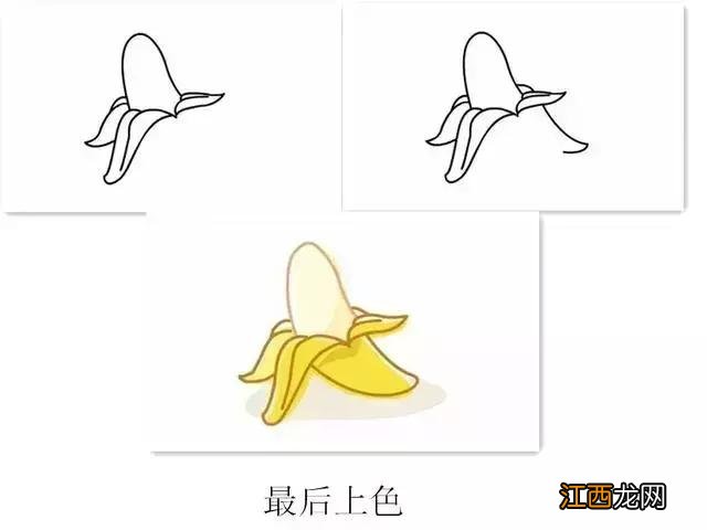 水果简笔画图片大全大图 水果简笔画图片